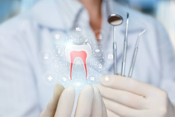  Calcutta, OH Dental Services Pros